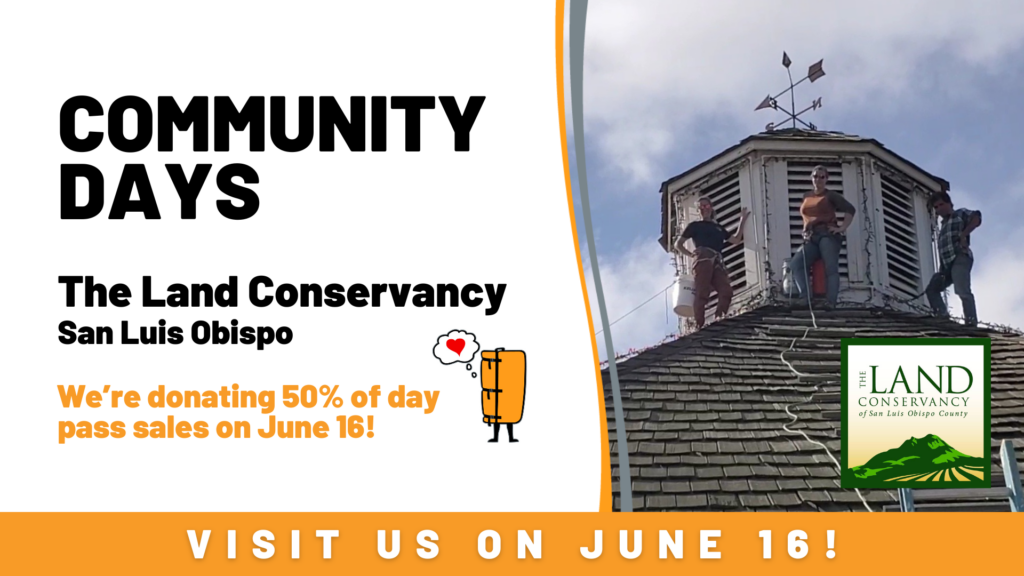 Community Days - June 16 - The Pad San Luis Obispo - Benefitting The Land Conservancy SLO