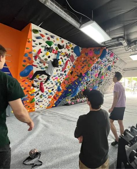 BoardRoom members climbing the bouldering wall at the Santa Barbara BoardRoom